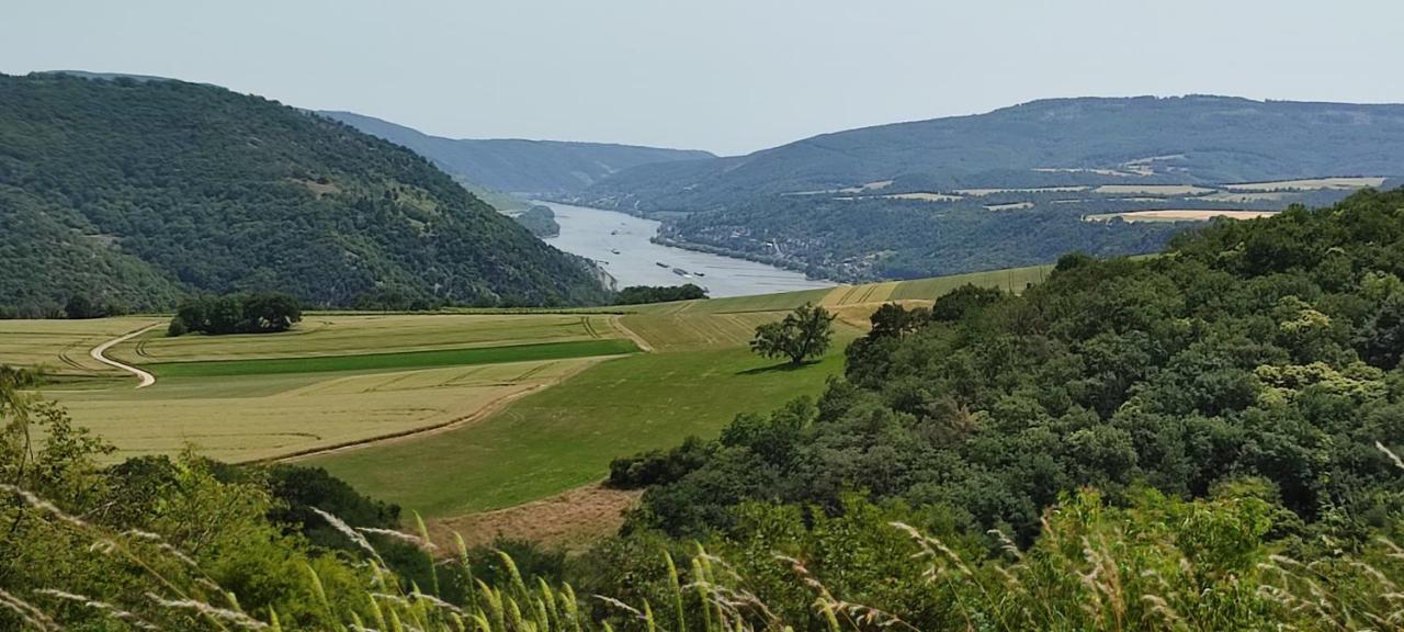 Kleine Auszeit - Ferienwohnung Heideberg - "Rhein" In Den Urlaub Bacharach Extérieur photo